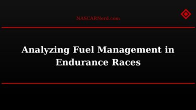 Analyzing Fuel Management in Endurance Races